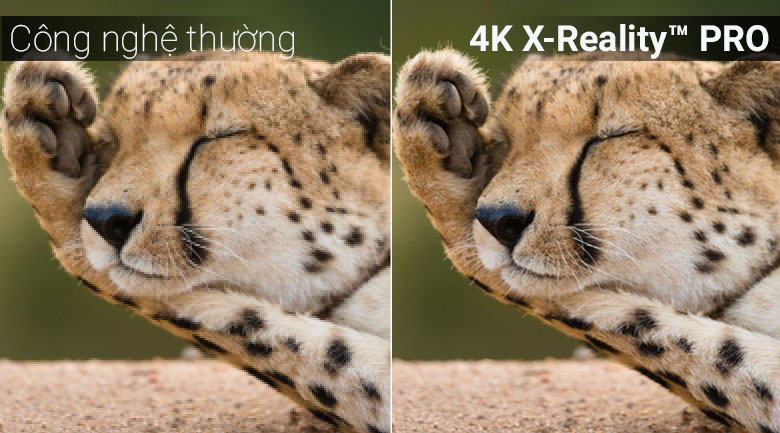 công nghệ 4K X-Reality™ PRO và X-Reality™ PRO