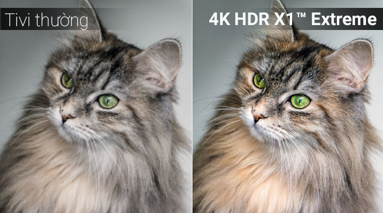 Bộ xử lý 4K HDR X1™ Extreme