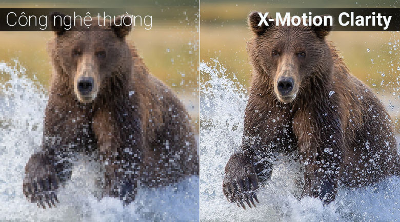 Công nghệ X-Motion Clarity