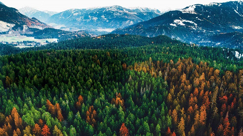 Chíp xử lý lõi tứ Quad Core