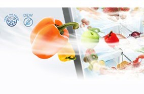 Tủ lạnh Panasonic NR-BK306GSVN