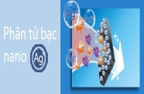 Tủ lạnh Sharp SJ-189S-DS 181 lít