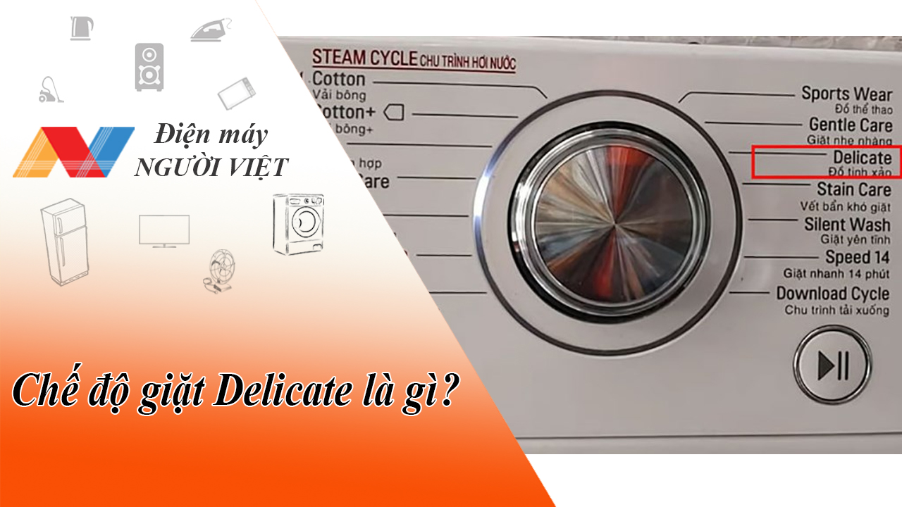 Chế độ giặt Delicate là gì? Cách sử dụng như thế nào?