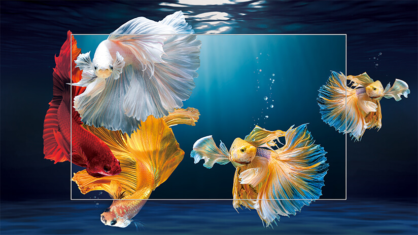 Nên Mua Tivi Full HD hay 4k