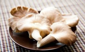 Hướng dẫn bảo quản nấm trong tủ lạnh để ăn dần trong mùa dịch 