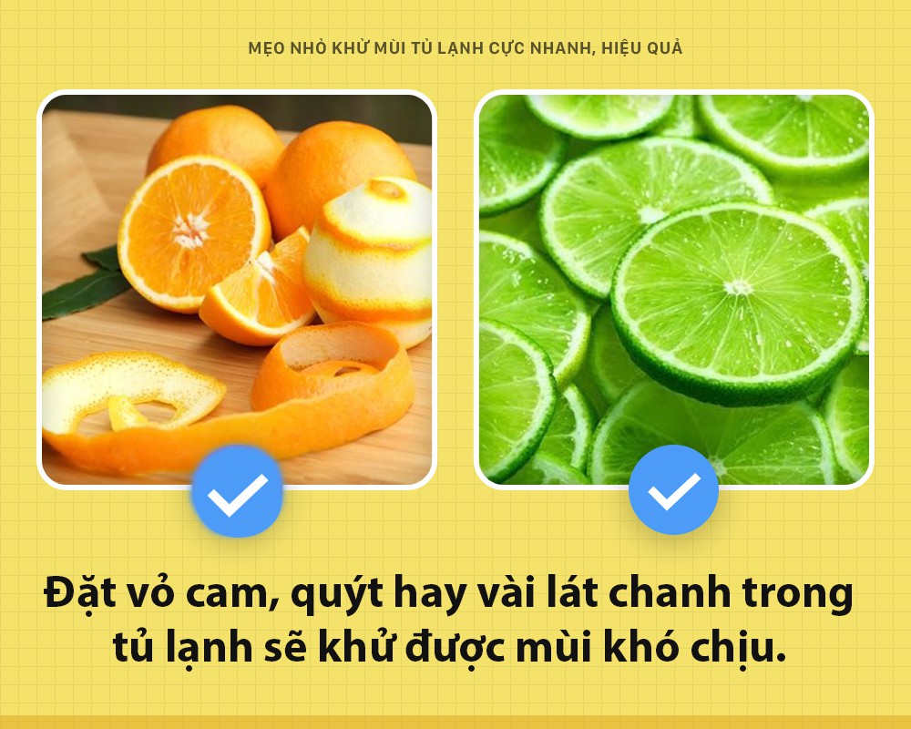 Mẹo khử mùi tủ lạnh cực hiệu quả với những vật dụng đơn dễ tìm kiếm