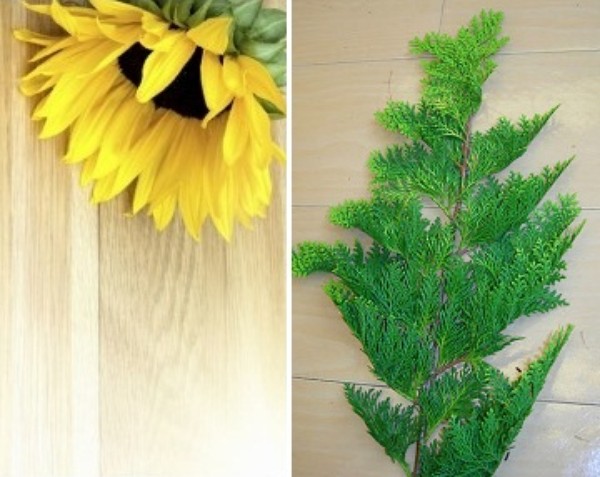 Cắm hoa hướng dương giản dị, tự nhiên