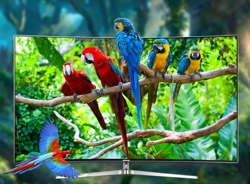 NHỮNG MẪU TIVI MÀN HÌNH CONG ẤN TƯỢNG 2016