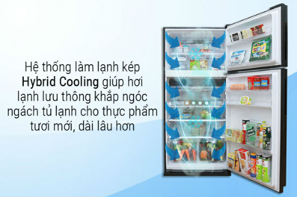 Ưu nhược điểm của tủ lạnh Sharp