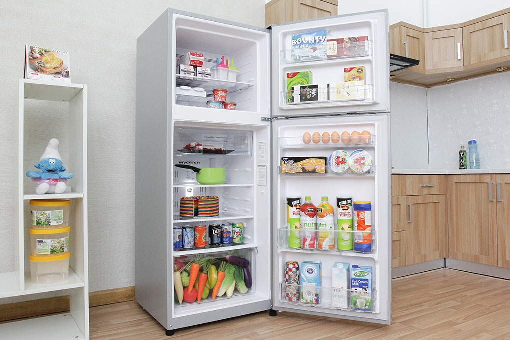 Tủ lạnh Hitachi R-H310PGV4(INX) 2 cánh 260L